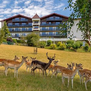 Natur- Und Wohlfuehlhotel Kastenholz